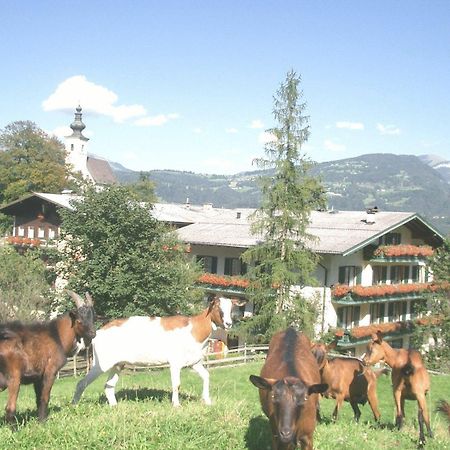 Torrenerhof Hotel โกลลิง อันแดร์ ซัลซาค ภายนอก รูปภาพ