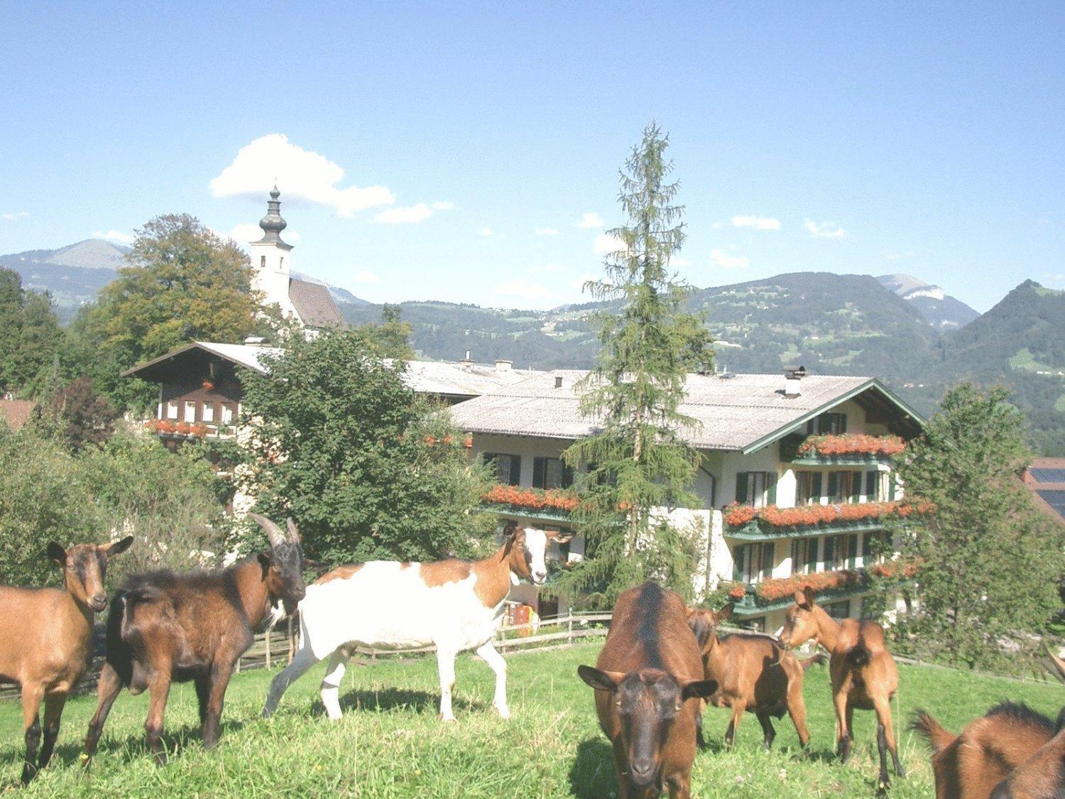 Torrenerhof Hotel โกลลิง อันแดร์ ซัลซาค ภายนอก รูปภาพ